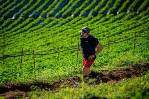 BIB: 
                            <button type="button" onclick="openModal(19160568)" class="btn btn-primary btn-sm float-right btn-popup" data-toggle="modal" data-target=".modal-high-quality">
                        <i class="fas fa-shopping-cart"></i> Add to Cart
                    </button>
                                            <button type="button" onclick="isThisMe(19160568, true)" class="btn btn-success btn-sm float-right btn-popup btn-isme hidden" data-toggle="tooltip" data-placement="bottom" title="นี่คือรูปของคุณใช่ไหม คลิกที่นี่เพื่อเอาเข้าอัลบั้ม">
                        <i class="fas fa-plus"></i> Add to album
                    </button>
                    <button type="button" onclick="isThisMe(19160568, false)" class="btn btn-warning btn-sm float-right btn-popup btn-isnotme hidden">
                        <i class="fas fa-ban"></i> Remove from album
                    </button>